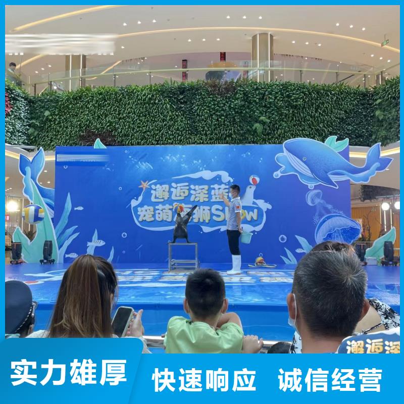 海洋主题动物表演,水族海洋展高品质