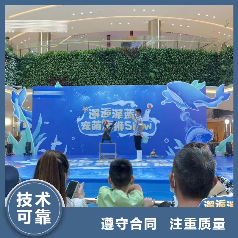 海洋主題動(dòng)物表演海獅表演出租歡迎合作
