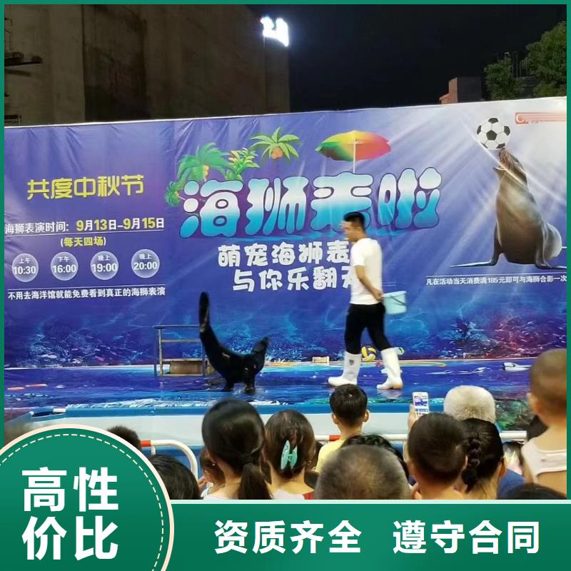 海洋生物展租赁公司暖场氛围