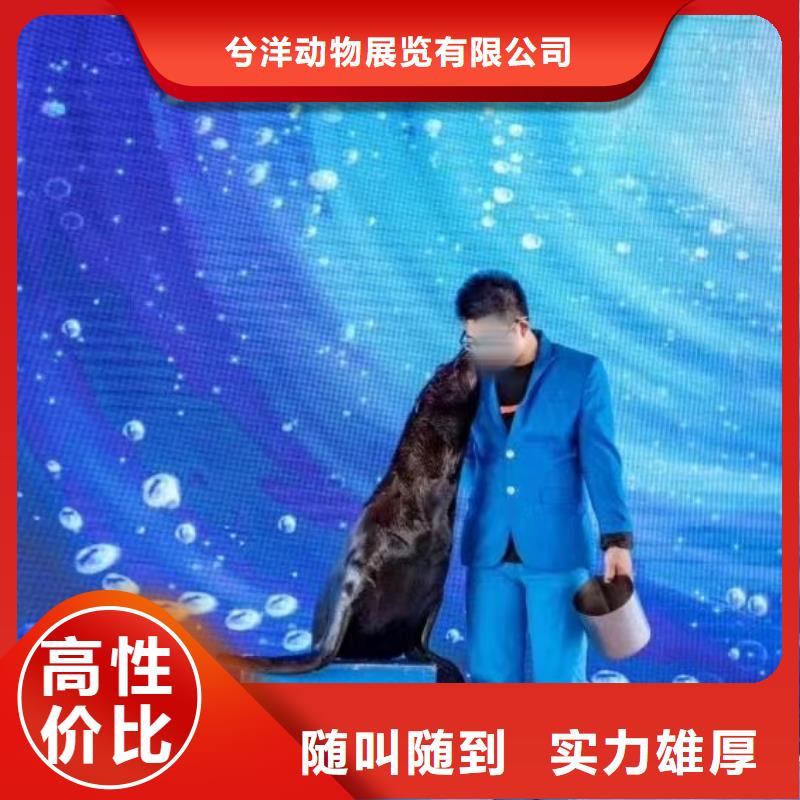 海洋展租賃海洋動物
