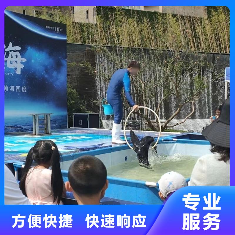 夢幻美人魚表演出租主題展覽
