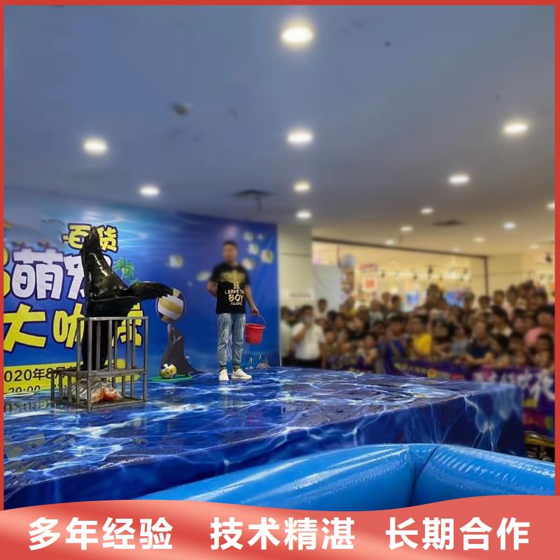哪有出租企鵝的
