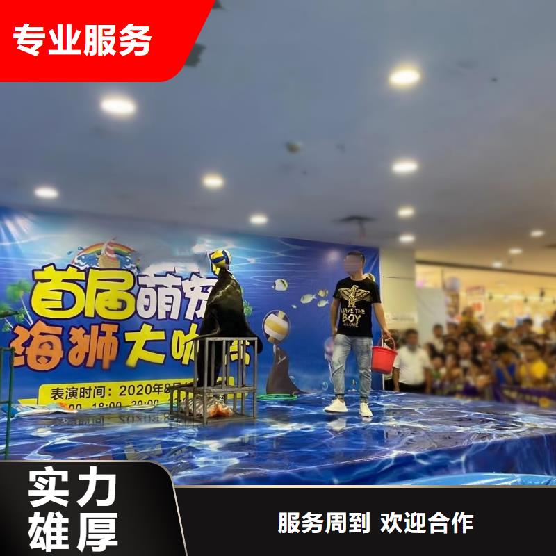 海洋主题动物表演【出租企鹅表演】技术成熟