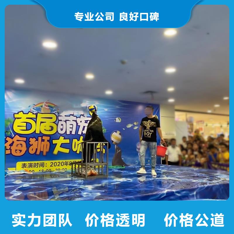 海洋主題動物表演鸚鵡表演出租良好口碑