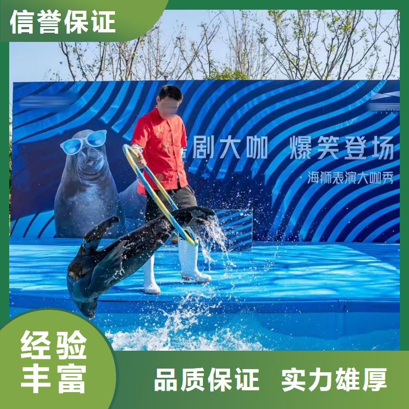 海獅租賃公司節日活動