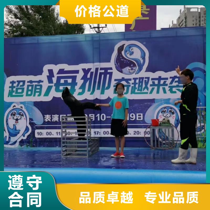 海洋主題動物表演出租馬戲團表演技術(shù)可靠