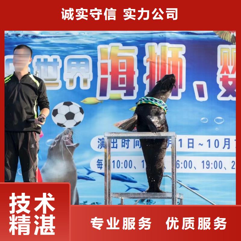 【海洋主題動物表演】 動物表演租賃誠實守信