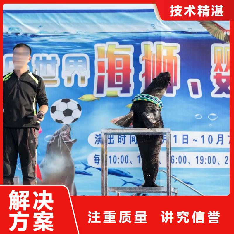 美人魚表演出租公司