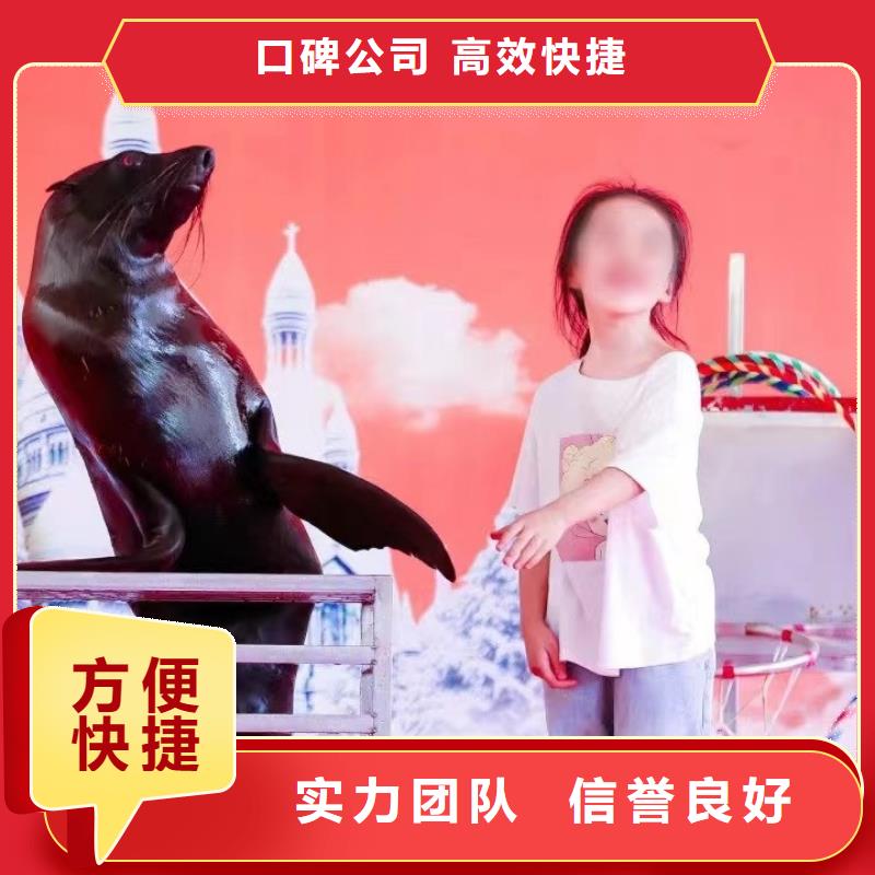 海洋主题动物表演杂耍演出长期合作