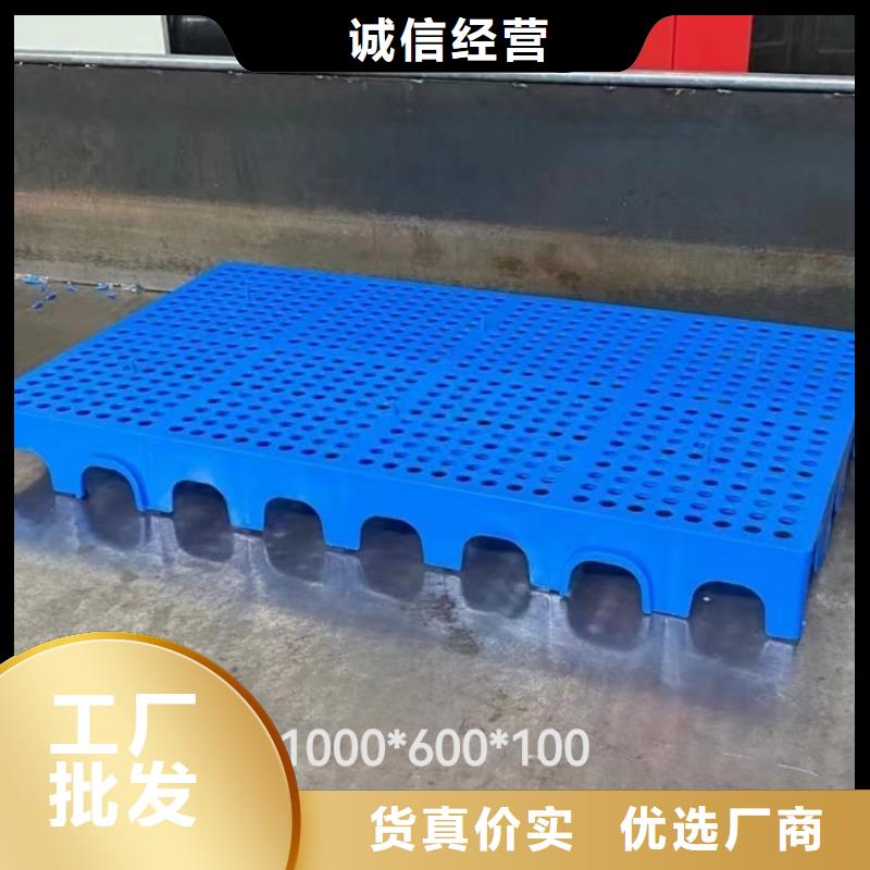 蓝色塑料卡板视频-蓝色塑料卡板-凯普奥塑料制品(贺州市分公司)服务区域钟山|昭平|防城港|北海|崇左|来宾|桂林