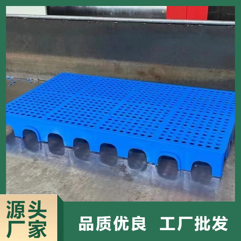 塑料托盘拦腰折叠筐现货充裕