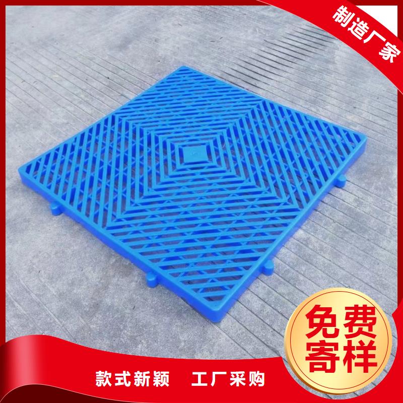 叉車塑料托盤專業生產廠家