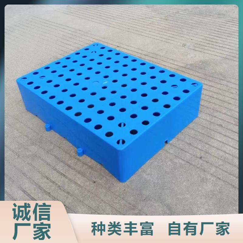 塑料托盘_重型货架卡板托盘敢与同行比价格
