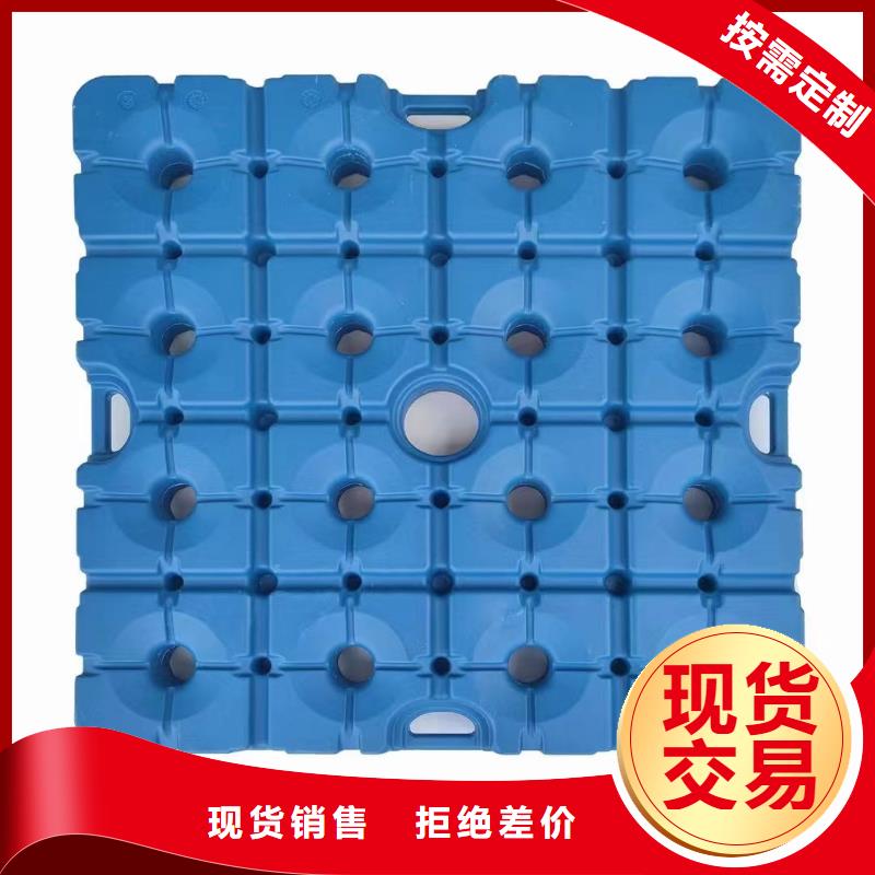 塑料托盘 平面卡板N年专注