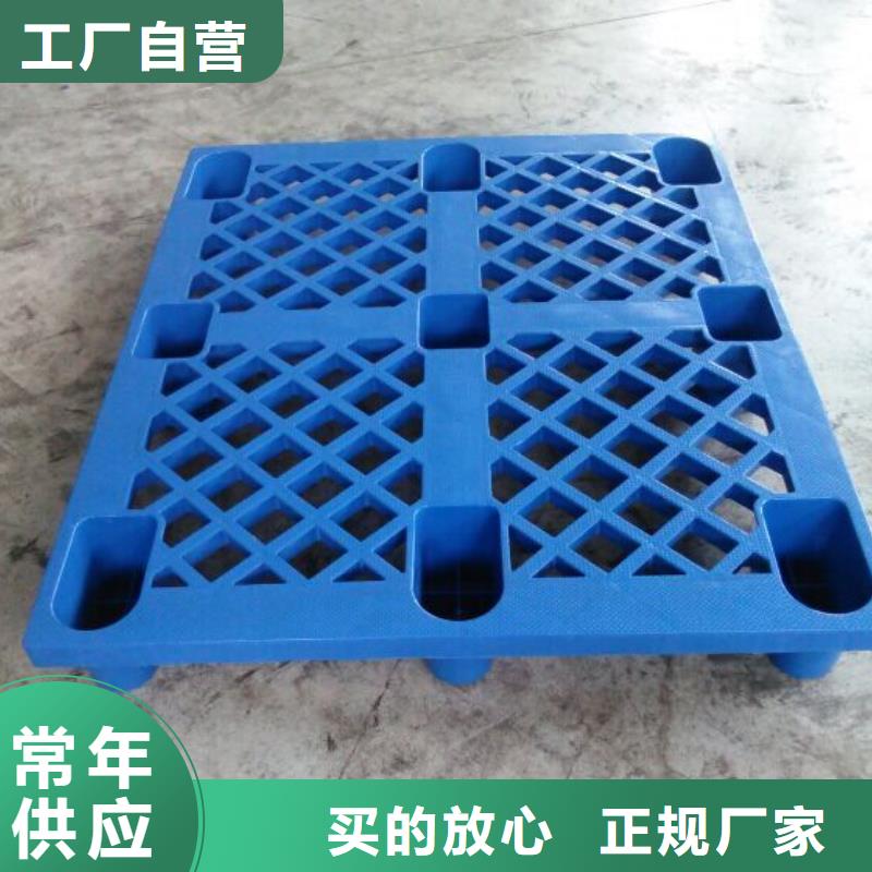 雙遼市塑料地拍子誠信經(jīng)營