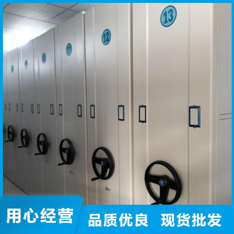 廠家供應(yīng)書畫密集架