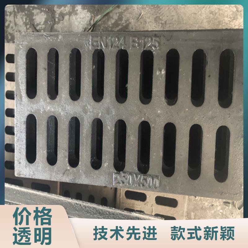 200*500球墨鑄鐵篦子現貨齊全/鑄鐵溝蓋板