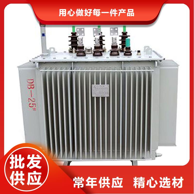 油浸式變壓器風力發電用預裝式變電站以質量求生存