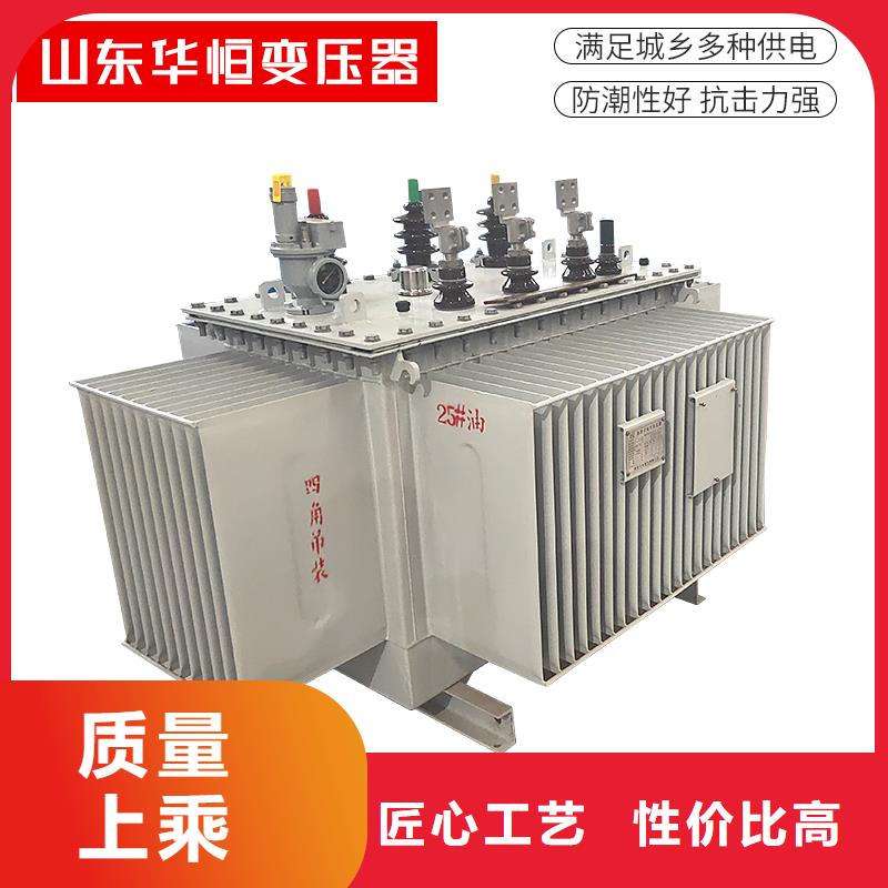 油浸式變壓器-預(yù)裝式變電站實(shí)體廠家支持定制