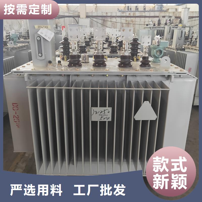 油浸式變壓器【三相變壓器】當(dāng)?shù)刎浽?></div>
				 
					                           <!--  判斷下如果客戶有視頻，顯示這段-->
                        <div   id=
