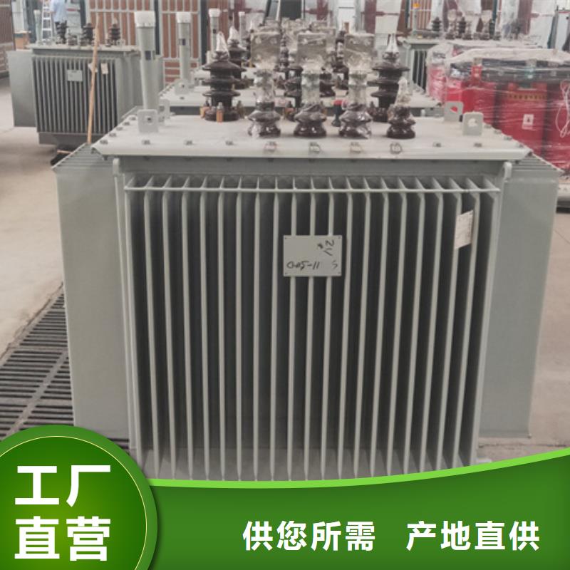 油浸式變壓器風力發電用預裝式變電站以質量求生存