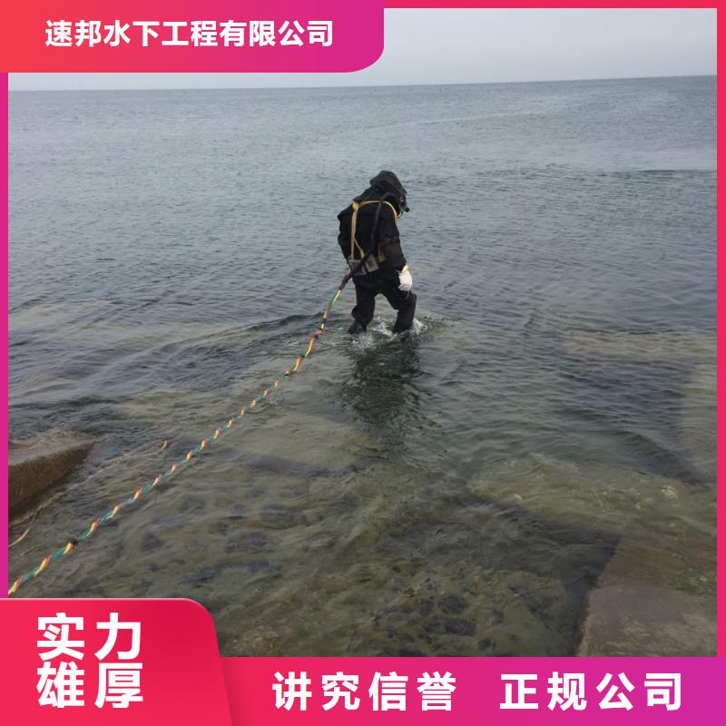 水下安裝取水頭經驗豐富