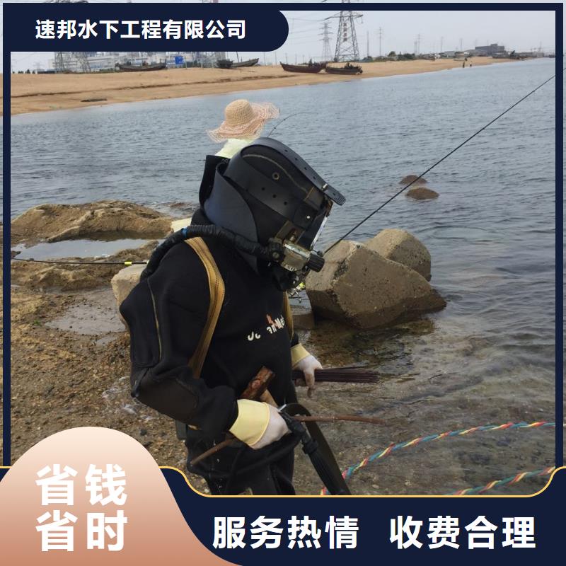 水下安装气囊封堵