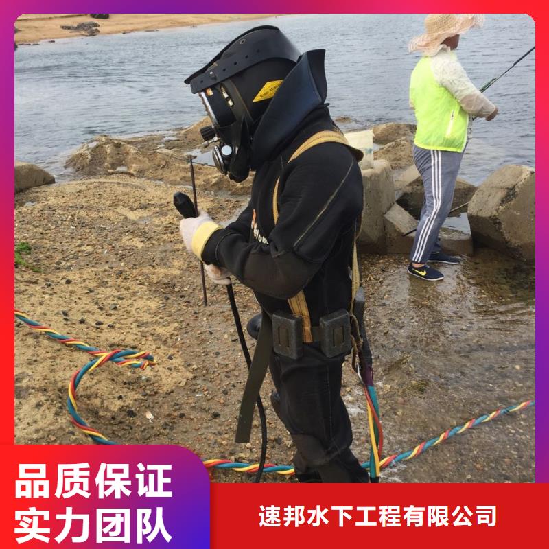 水下安装气囊封堵