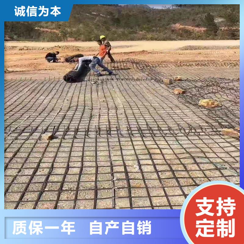 土工格柵_生態(tài)帶直銷廠家