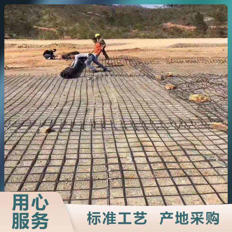 鋼塑土工格柵現貨供應