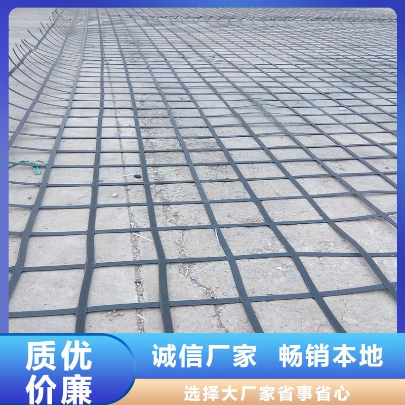 塑料土工格柵價格