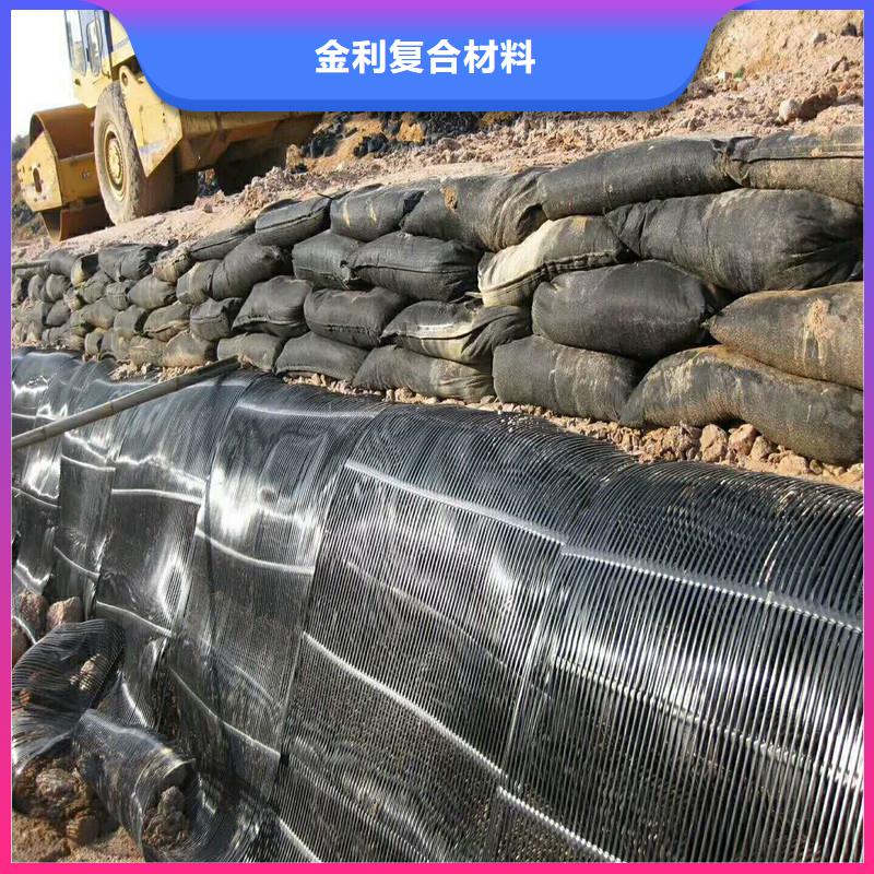 鋼塑格柵報價