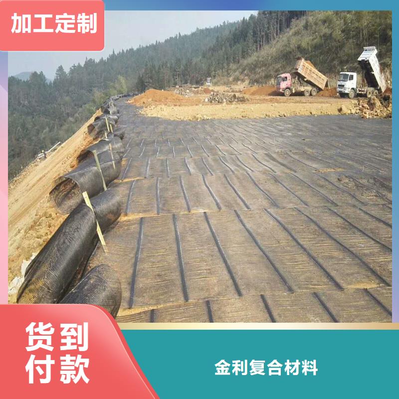 玻纖格柵源頭廠家