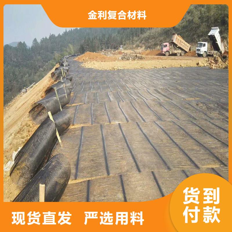 玻璃纖維土工格柵廠家