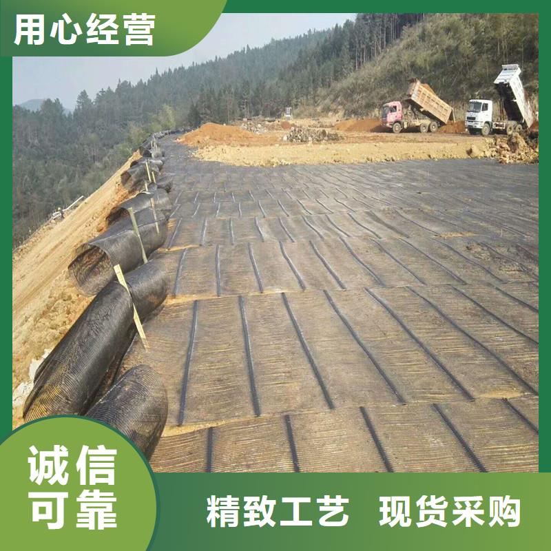 【土工格柵\抗裂貼】礦用格柵多種場景適用