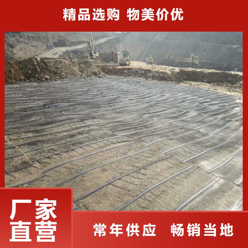 玻纖土工格柵廠家