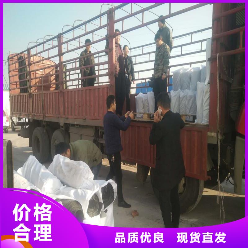 塑料拉伸土工格柵支持定制