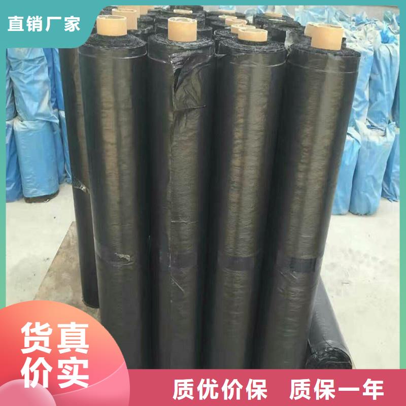 玻纖土工格柵廠家