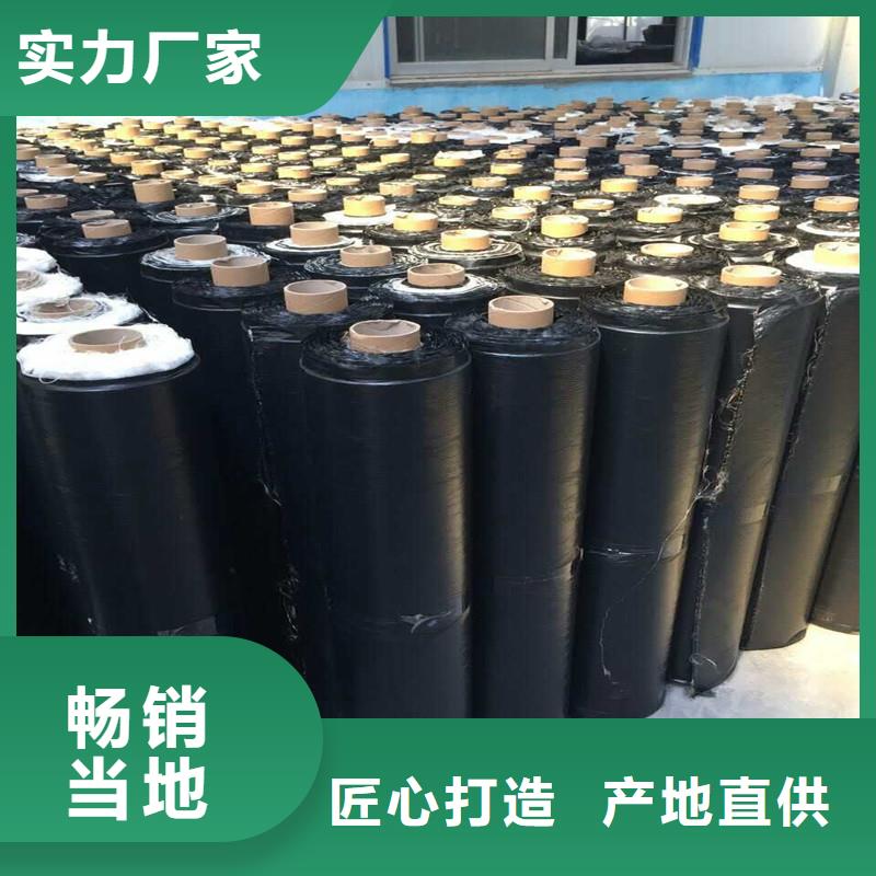 雙向塑料土工格柵廠家價格