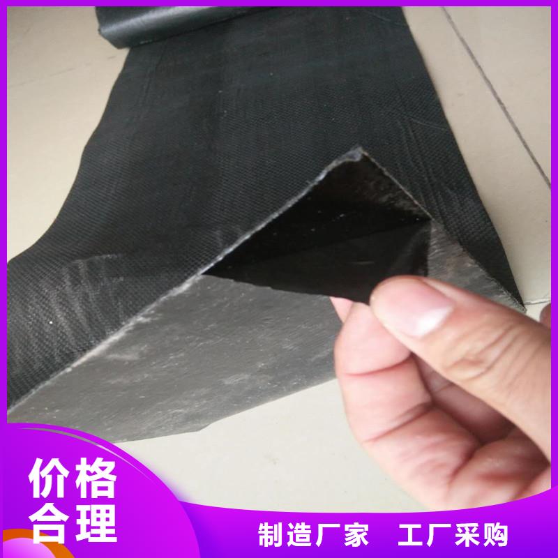 塑料土工格柵價格
