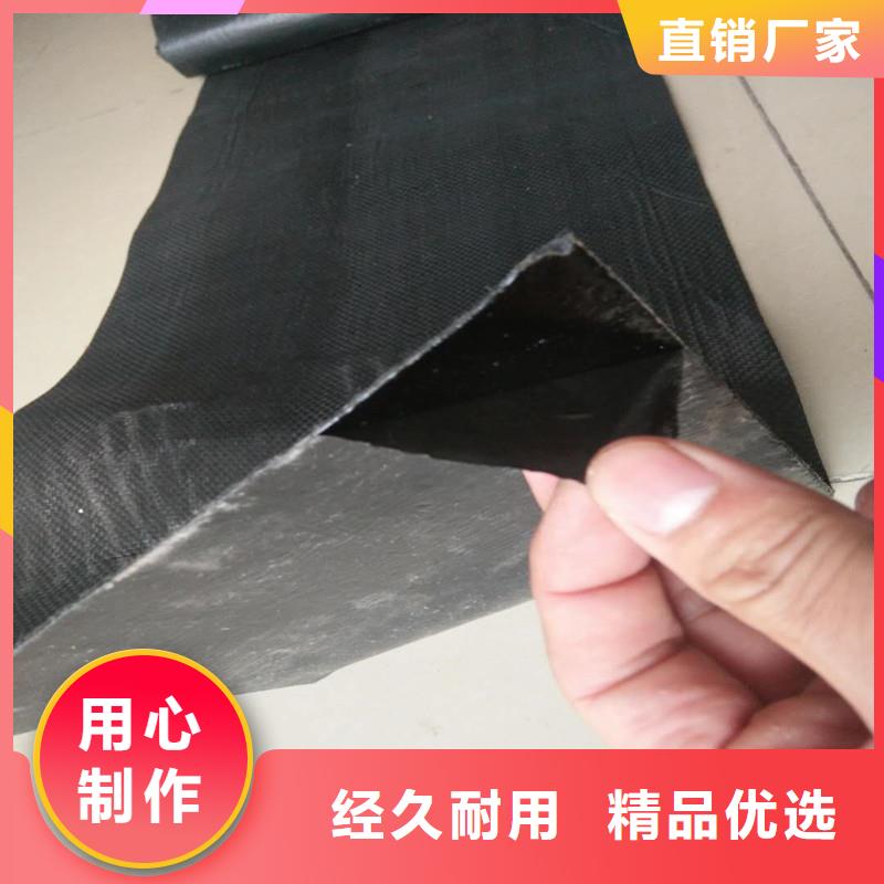 鋼塑土工格柵廠家