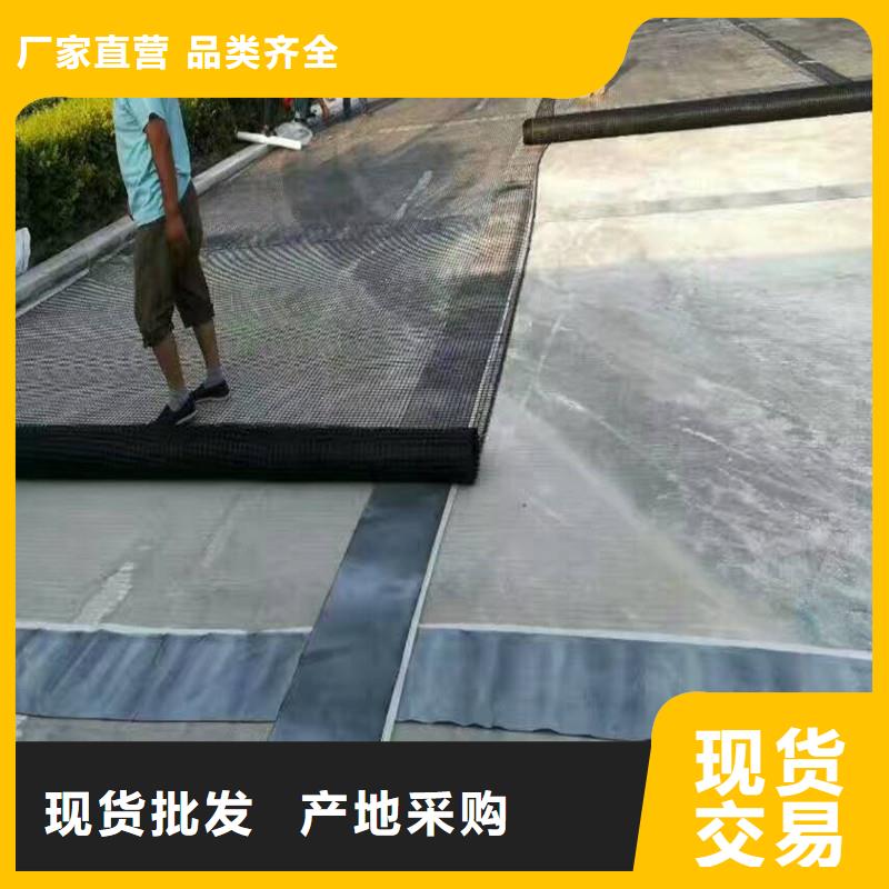 雙向塑料土工格柵生產廠家