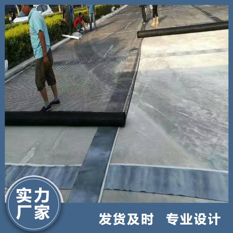 塑料土工格柵生產廠家