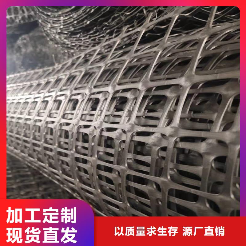 鋼塑土工格柵誠信廠家