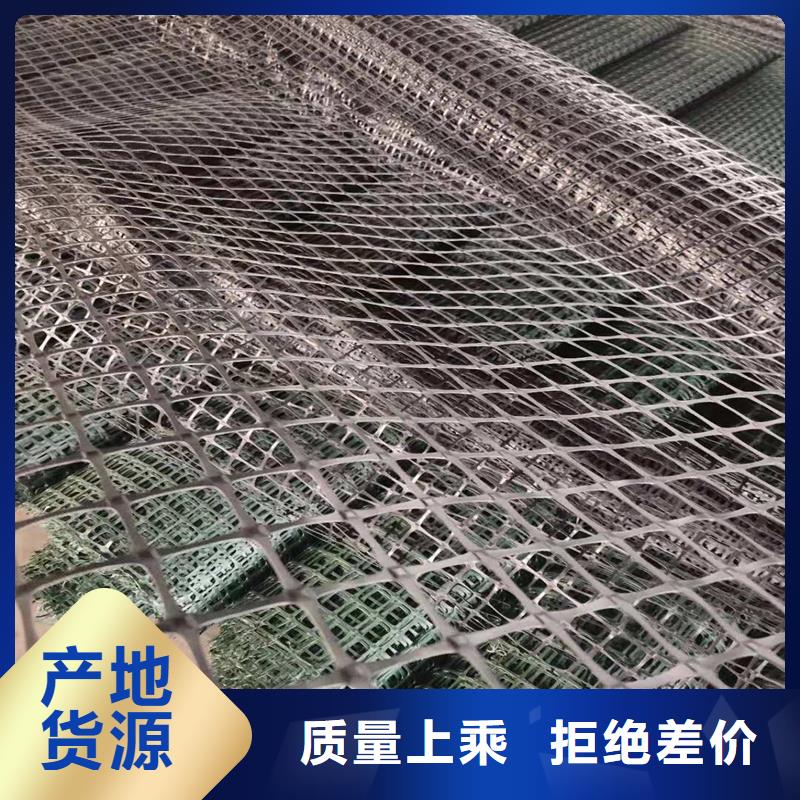 雙向塑料土工格柵直銷價格