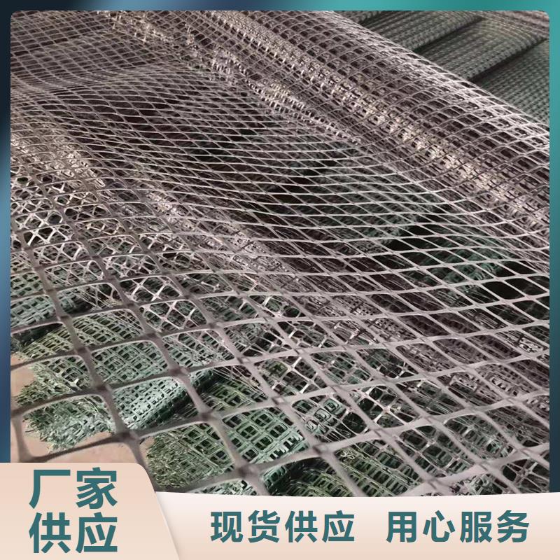單向土工格柵廠家