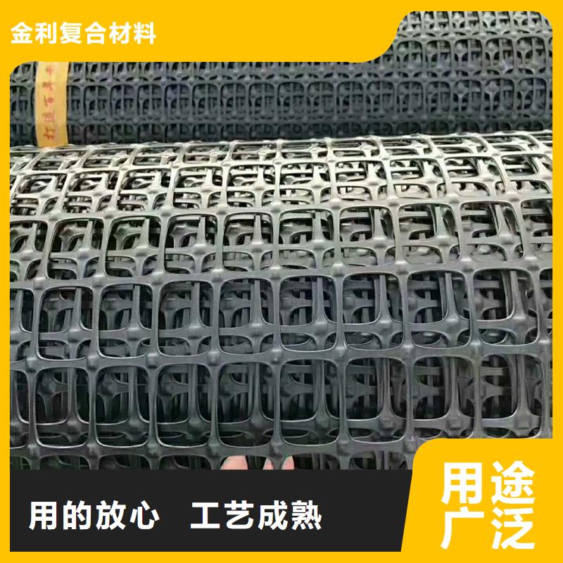 鋼塑焊接土工格柵實力廠家