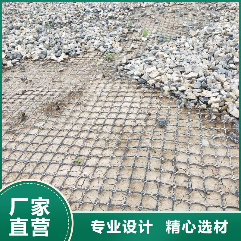 塑料土工格柵生產(chǎn)廠家