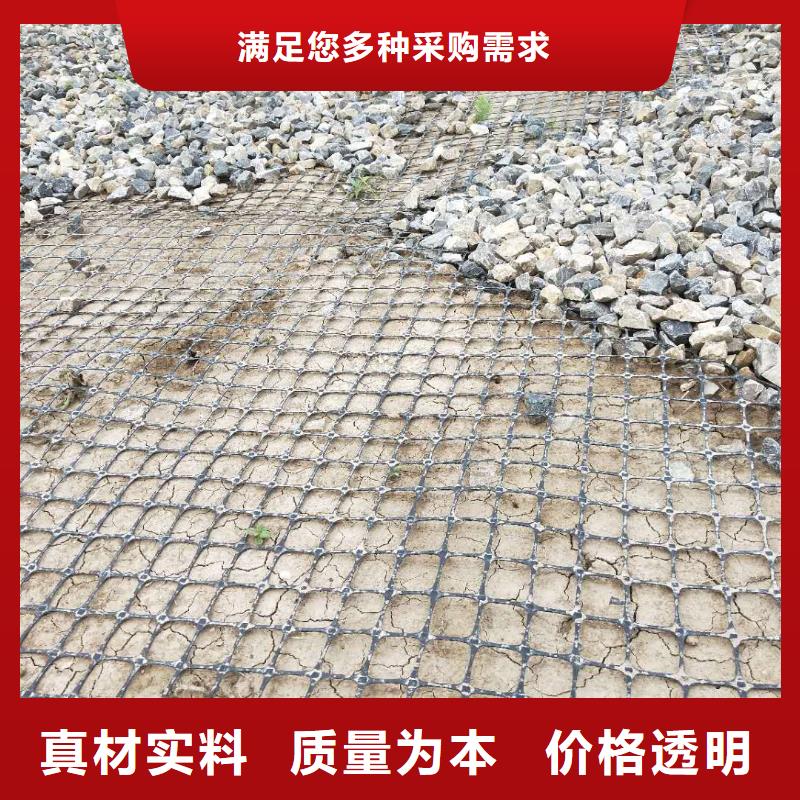 雙向塑料土工格柵廠家