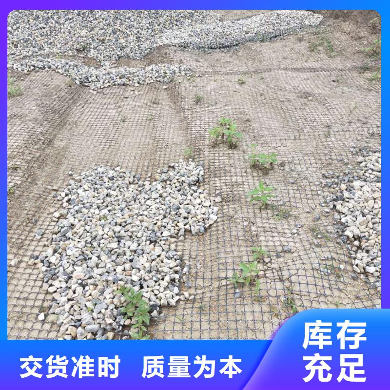 雙向塑料土工格柵生產廠家